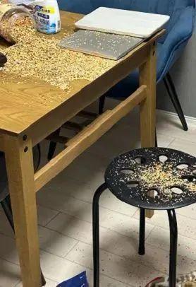 无骨的靠在爸爸身上：伦家不是故意的冰球突破游戏网站猫咪打翻瓶子后柔弱(图1)